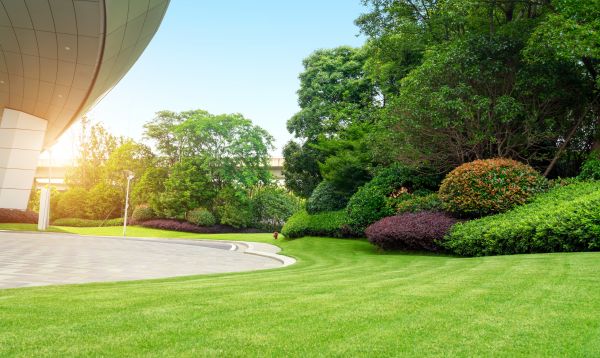 Commercial Shrub Trimming in Tuscaloosa