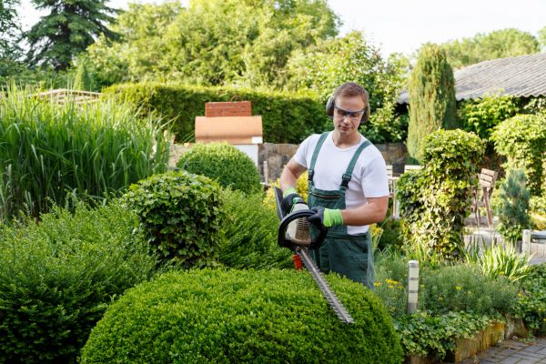 Shrubs Trimming in Tuscaloosa